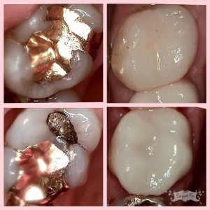 Old Gold Restorations to White porcelain