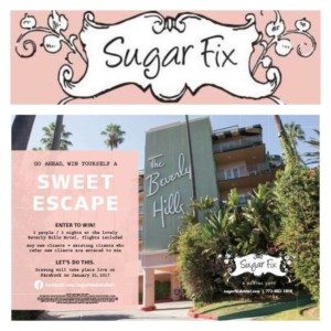 sugar fix dental loft// pop up// moonfish