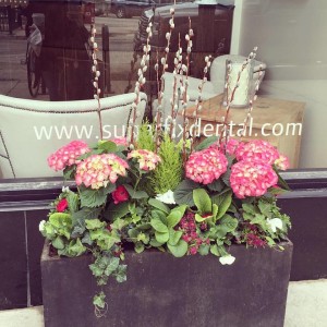 spring flower boxes